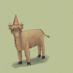 Cute highland calf with a party hat on its head