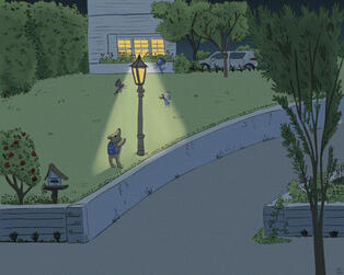 A bear looks up at a lamp with fairies flying around it. The scene is in front of a house and its night time.