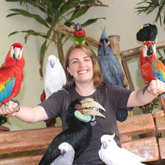 Phillipa Suckling with numerous parrots and a hornbill bird sitting on her.